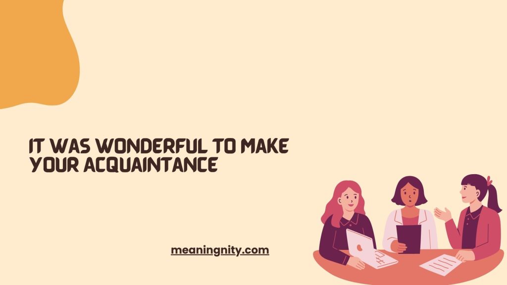 It Was Wonderful to Make Your Acquaintance